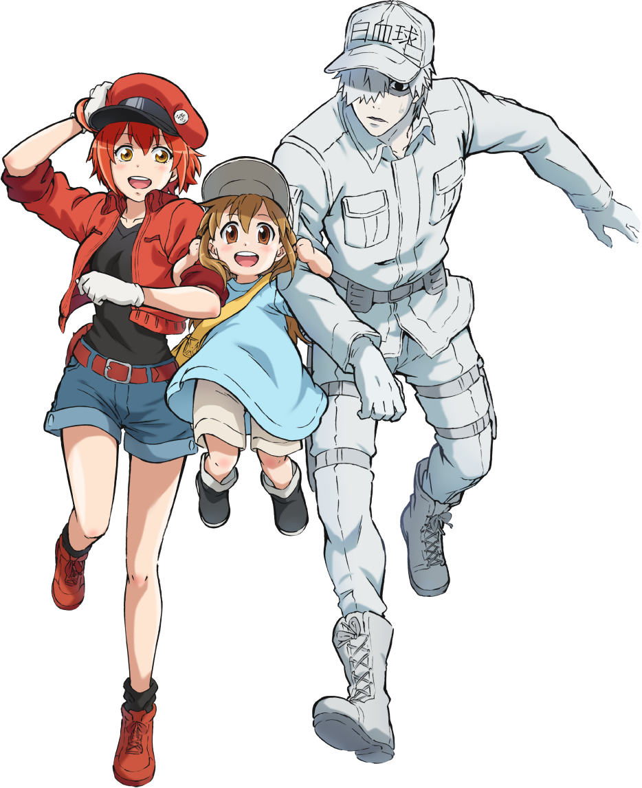 TV Anime 'Hataraku Saibou' Announces Additional Cast Members 