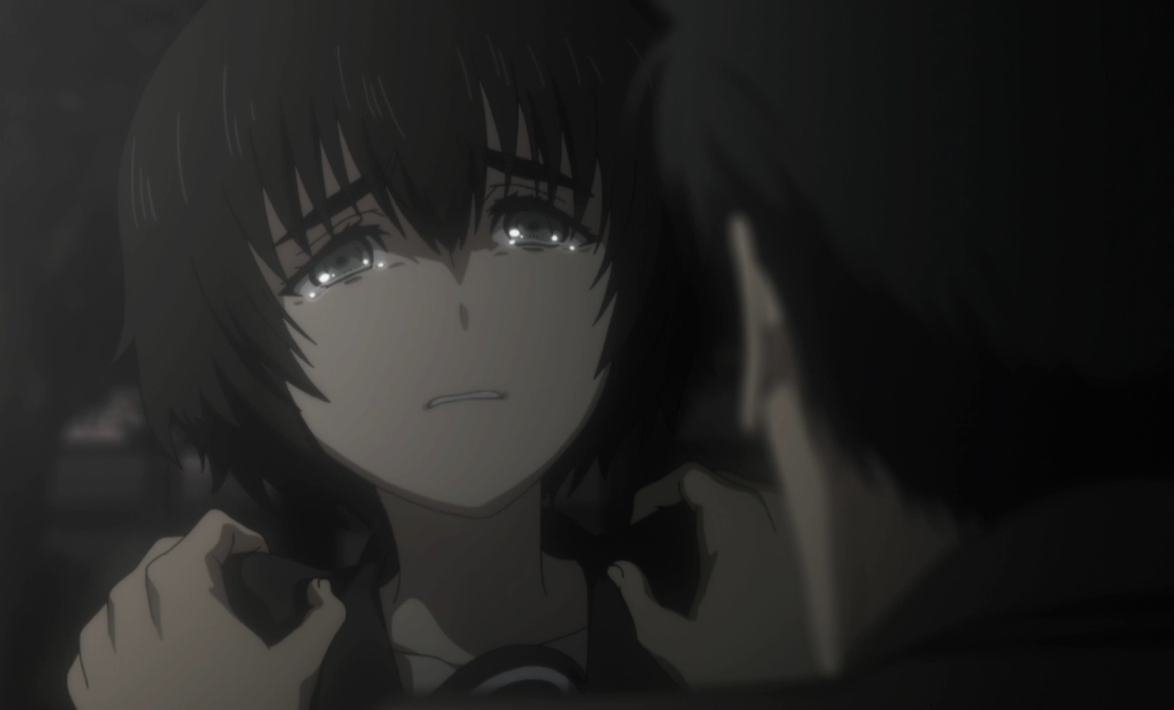 steins gate anime episodes