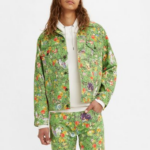 Levi’s Pokémon garden set